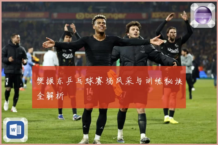 樊振东乒乓球赛场风采与训练秘诀全解析