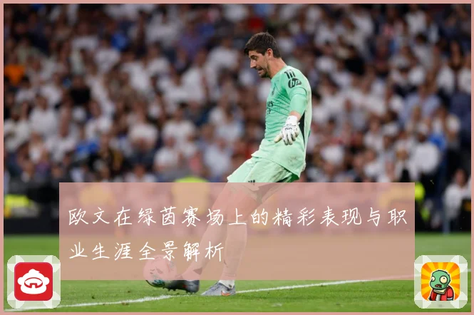 欧文在绿茵赛场上的精彩表现与职业生涯全景解析