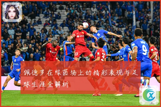 佩德罗在绿茵场上的精彩表现与足球生涯全解析