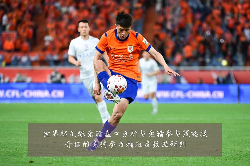 世界杯足球竞猜盘口分析与竞猜参与策略提升你的竞猜参与精准度数据研判